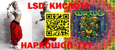 ГАЛЛЮЦИНОГЕННЫЕ ГРИБЫ Кингисепп