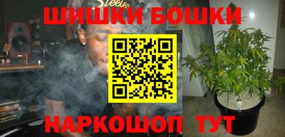 ГАЛЛЮЦИНОГЕННЫЕ ГРИБЫ Кингисепп