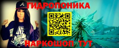 ГАЛЛЮЦИНОГЕННЫЕ ГРИБЫ Кингисепп