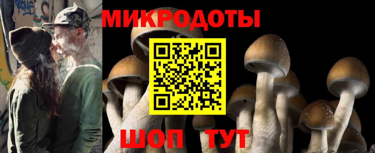 Псилоцибиновые грибы прущие грибы Красноярск
